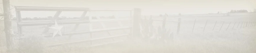 Let your Lane team put our winning record to
work to unburden your business.